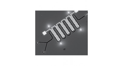 ПО Thermo Scientific NanoBuilder